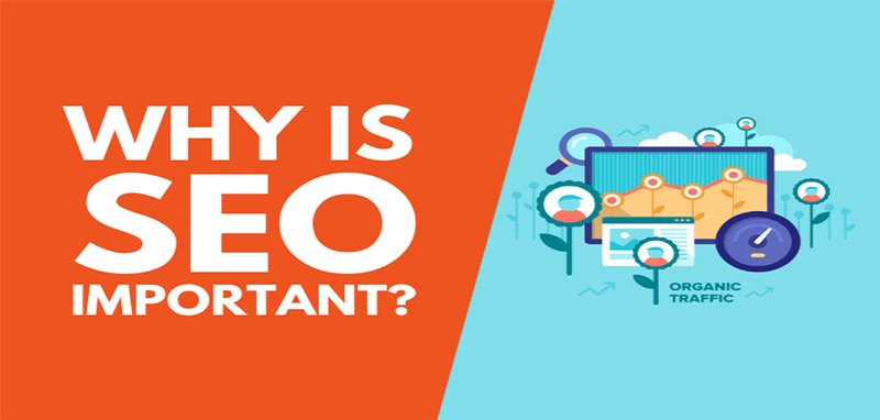 SEO Is Important for Businesses in Hyderabad